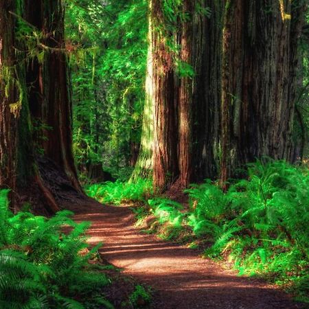 Cedar Mountain -Suite B Grants Pass Dış mekan fotoğraf